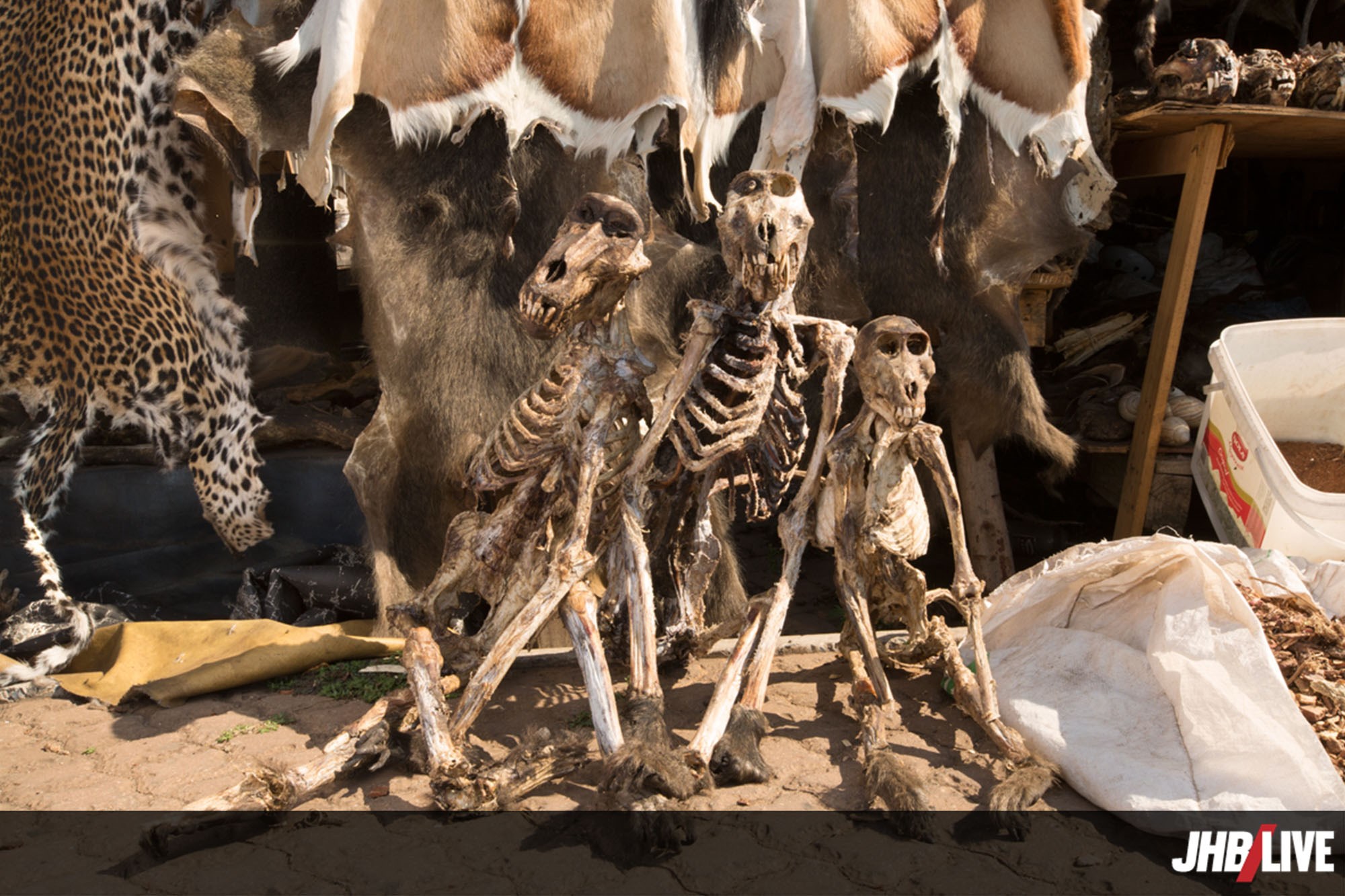 faraday muthi market