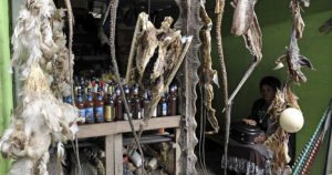 muti johannesburg su day