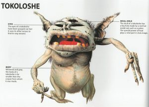 muthi to get rid of tokoloshe