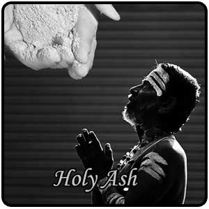 Holy Ash Uses