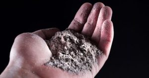 Where does Holy Ash come from