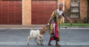 Meaning of Sangoma clothes
