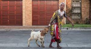 Sangoma Rituals