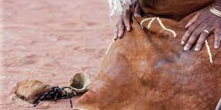 Best Traditional Healer in Johannesburg