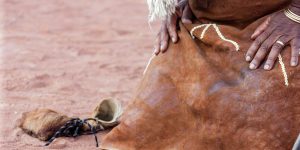 3 Second Traditional Healer