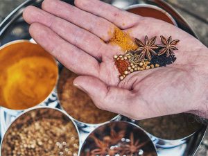 How Traditional Healers Discover their Medicines