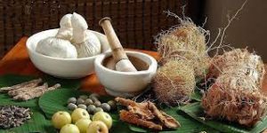 Mpho Makhado Traditional Healer