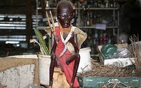 Powerful Traditional Healer in Mozambique