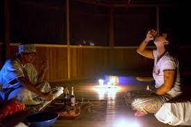 Traditional Healer Testimonials