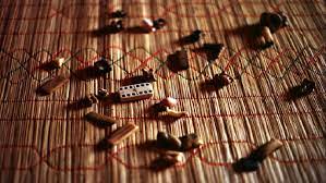 Traditional Healer in Pretoria East