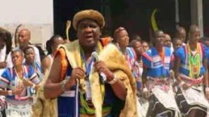 Tsiane Traditional Healer Contact Details