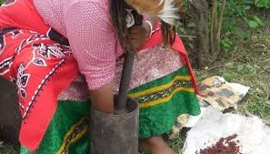 Tsonga Traditional Healers