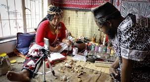 What is a Traditional Healer