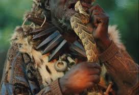 Zulu Traditional Healers