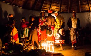Dr Mkhize Traditional Healer