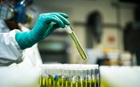 How to test Sandawana Oil