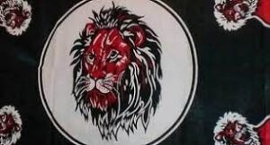 Sangoma Cloth with Lion
