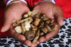 Sangoma Pics