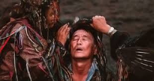 Shaman Sickness