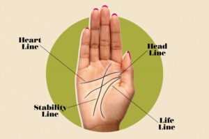 Palm Reader