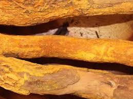 How To Use Delunina Umuthi Is Sjava A Sangoma Red Njeti How To Use Delunina Umuthi Is Sjava A Sangoma Red Njeti
