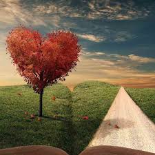 How To Cast A Love Spell With A Picture YouTube