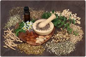 Best Herbalist Doctor Gauteng Province South Africa