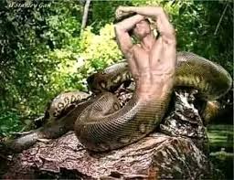 Ukuthwala Ngenyoka Twitter