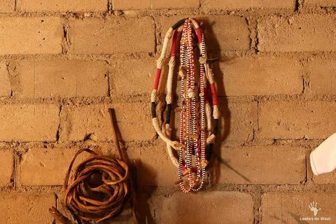 Best African Healers