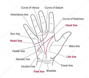 Powerful Palm Readings