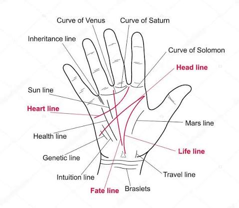 Powerful Palm Readings