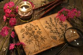 Witches Love Spell Guide Book